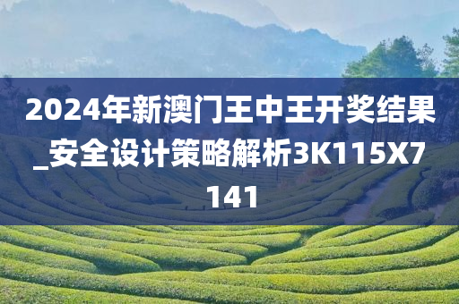 2024年新澳门王中王开奖结果_安全设计策略解析3K115X7141