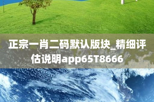 正宗一肖二码默认版块_精细评估说明app65T8666