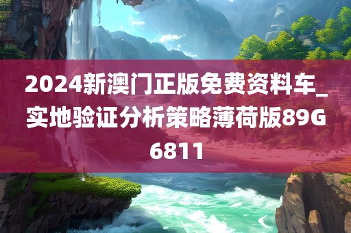 2024新澳门正版免费资料车_实地验证分析策略薄荷版89G6811