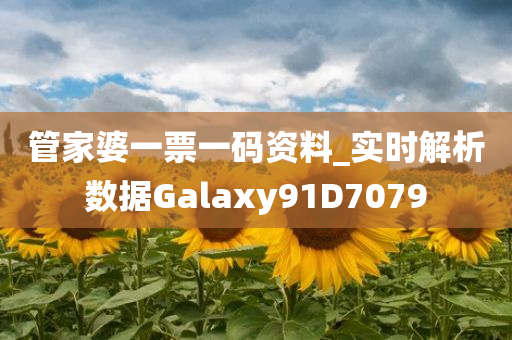 管家婆一票一码资料_实时解析数据Galaxy91D7079