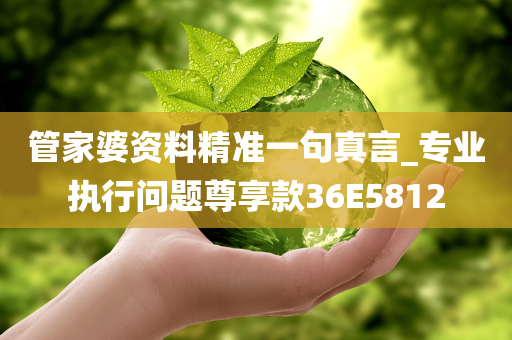 管家婆资料精准一句真言_专业执行问题尊享款36E5812