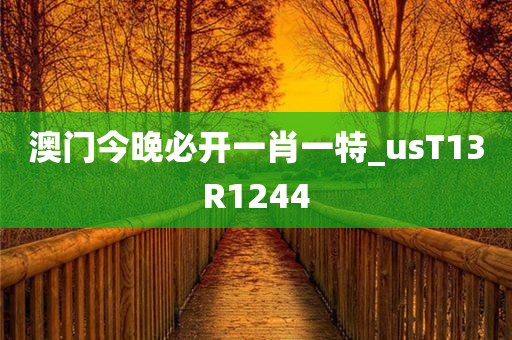 澳门今晚必开一肖一特_usT13R1244