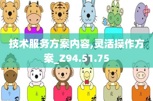 技术服务方案内容,灵活操作方案_Z94.51.75