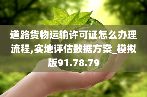 道路货物运输许可证怎么办理流程,实地评估数据方案_模拟版91.78.79