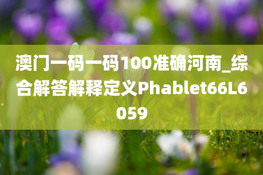 澳门一码一码100准确河南_综合解答解释定义Phablet66L6059