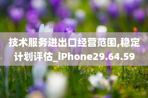 技术服务进出口经营范围,稳定计划评估_iPhone29.64.59