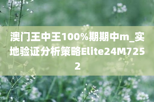 澳门王中王100%期期中m_实地验证分析策略Elite24M7252