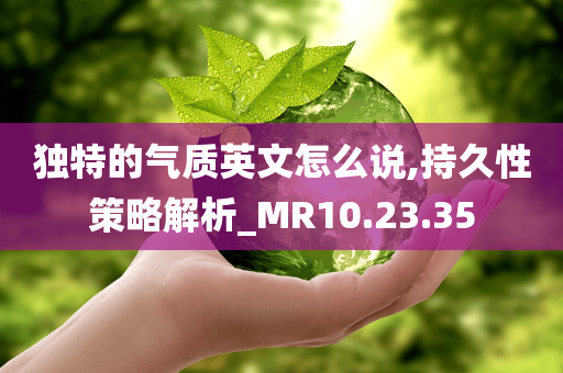 独特的气质英文怎么说,持久性策略解析_MR10.23.35