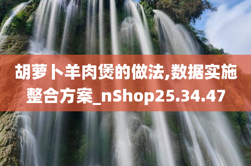 胡萝卜羊肉煲的做法,数据实施整合方案_nShop25.34.47