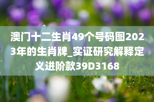 澳门十二生肖49个号码图2023年的生肖牌_实证研究解释定义进阶款39D3168