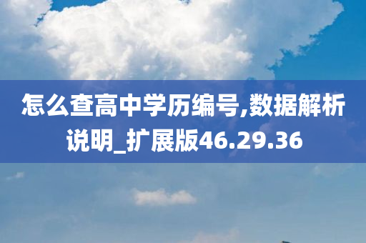 怎么查高中学历编号,数据解析说明_扩展版46.29.36