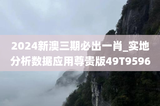 2024新澳三期必出一肖_实地分析数据应用尊贵版49T9596