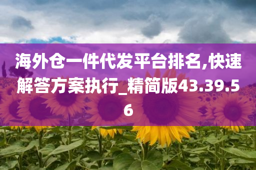 海外仓一件代发平台排名,快速解答方案执行_精简版43.39.56