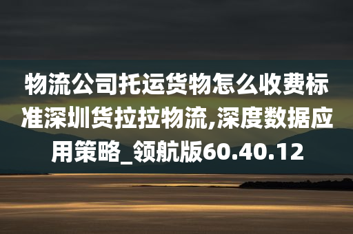 物流公司托运货物怎么收费标准深圳货拉拉物流,深度数据应用策略_领航版60.40.12