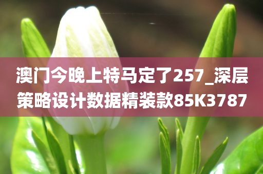 澳门今晚上特马定了257_深层策略设计数据精装款85K3787