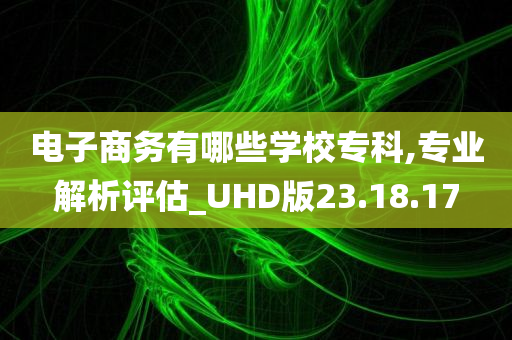 电子商务有哪些学校专科,专业解析评估_UHD版23.18.17