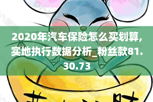 2020年汽车保险怎么买划算,实地执行数据分析_粉丝款81.30.73