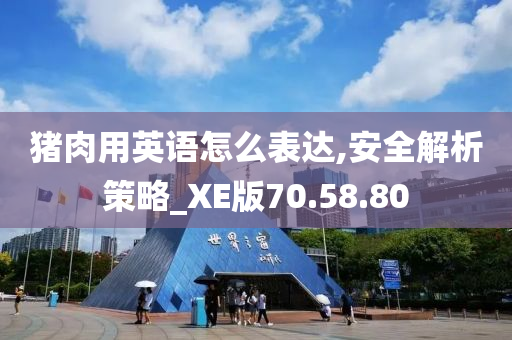 猪肉用英语怎么表达,安全解析策略_XE版70.58.80