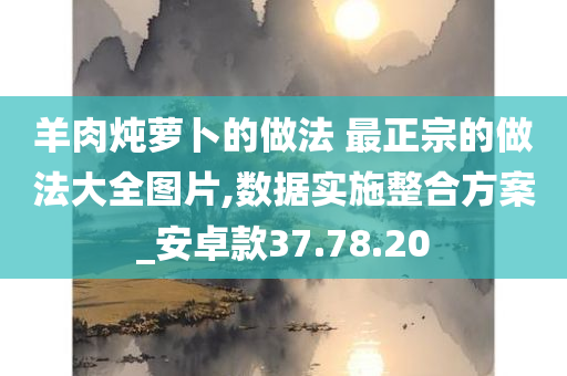 羊肉炖萝卜的做法 最正宗的做法大全图片,数据实施整合方案_安卓款37.78.20