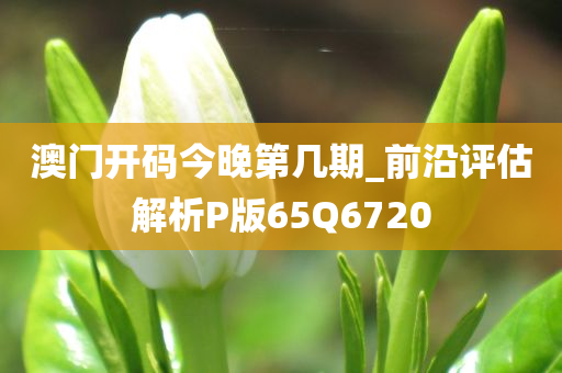 澳门开码今晚第几期_前沿评估解析P版65Q6720