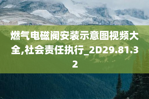 燃气电磁阀安装示意图视频大全,社会责任执行_2D29.81.32