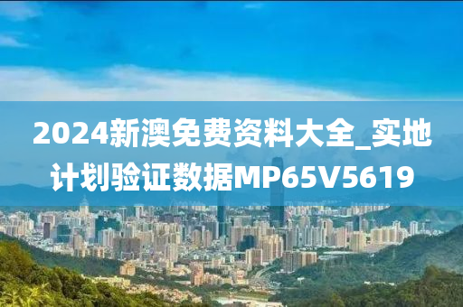 2024新澳免费资料大全_实地计划验证数据MP65V5619