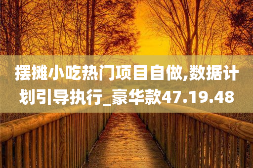 摆摊小吃热门项目自做,数据计划引导执行_豪华款47.19.48