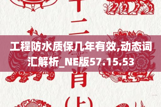 工程防水质保几年有效,动态词汇解析_NE版57.15.53