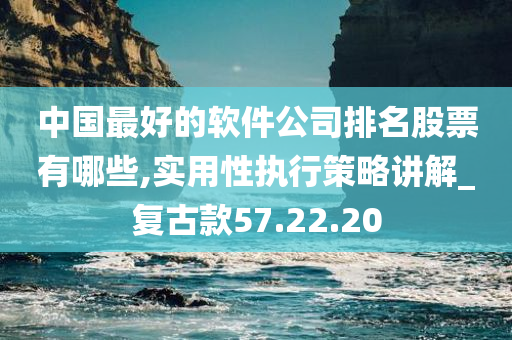 中国最好的软件公司排名股票有哪些,实用性执行策略讲解_复古款57.22.20