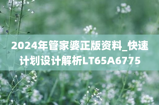 2024年管家婆正版资料_快速计划设计解析LT65A6775