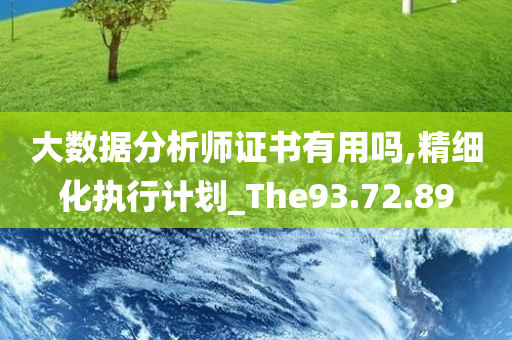 大数据分析师证书有用吗,精细化执行计划_The93.72.89