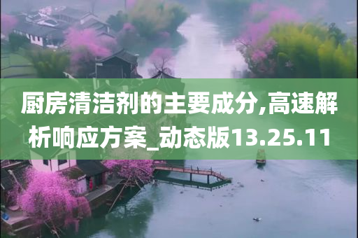 厨房清洁剂的主要成分,高速解析响应方案_动态版13.25.11