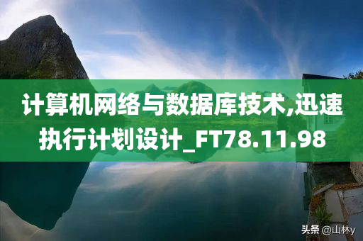 计算机网络与数据库技术,迅速执行计划设计_FT78.11.98