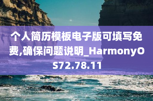 个人简历模板电子版可填写免费,确保问题说明_HarmonyOS72.78.11