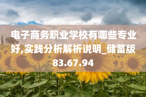 电子商务职业学校有哪些专业好,实践分析解析说明_储蓄版83.67.94