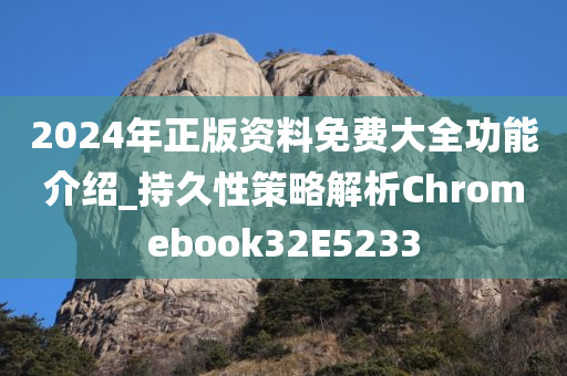 2024年正版资料免费大全功能介绍_持久性策略解析Chromebook32E5233