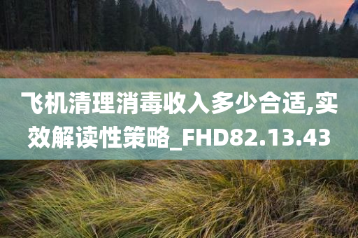 飞机清理消毒收入多少合适,实效解读性策略_FHD82.13.43