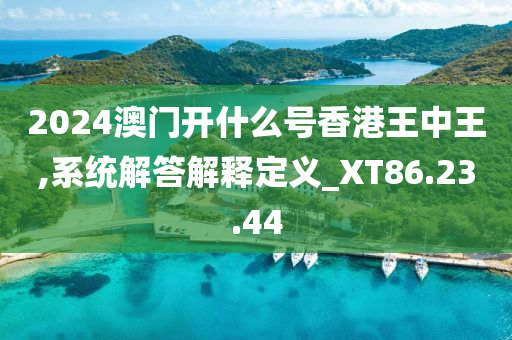 2024澳门开什么号香港王中王,系统解答解释定义_XT86.23.44