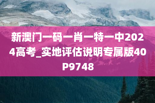 新澳门一码一肖一特一中2024高考_实地评估说明专属版40P9748