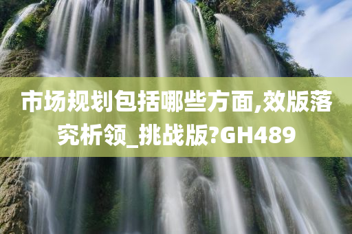 市场规划包括哪些方面,效版落究析领_挑战版?GH489