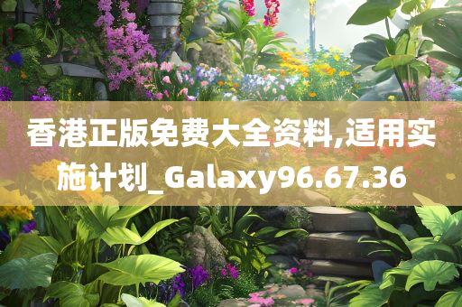 香港正版免费大全资料,适用实施计划_Galaxy96.67.36