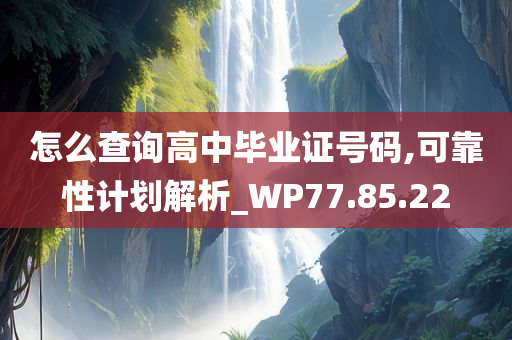 怎么查询高中毕业证号码,可靠性计划解析_WP77.85.22