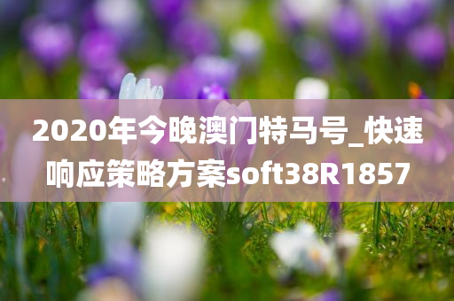 2020年今晚澳门特马号_快速响应策略方案soft38R1857