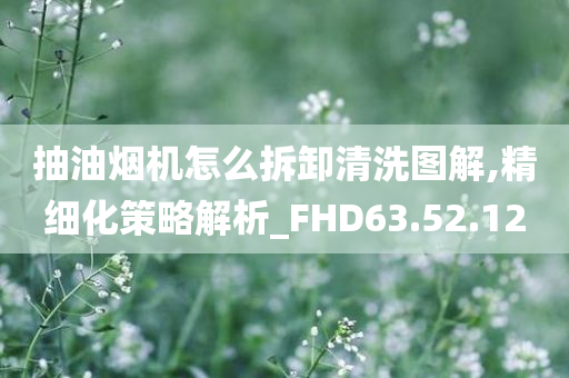 抽油烟机怎么拆卸清洗图解,精细化策略解析_FHD63.52.12