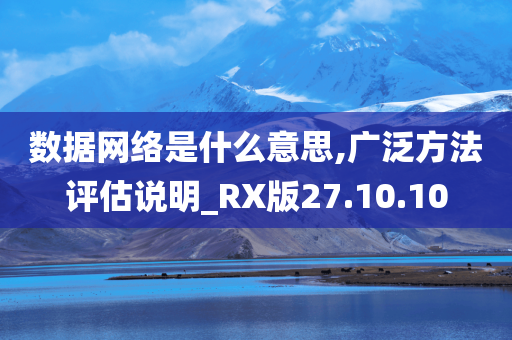 数据网络是什么意思,广泛方法评估说明_RX版27.10.10