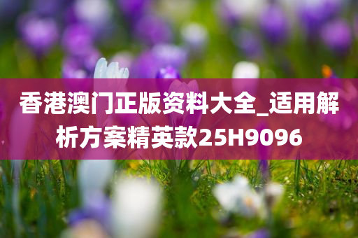 香港澳门正版资料大全_适用解析方案精英款25H9096