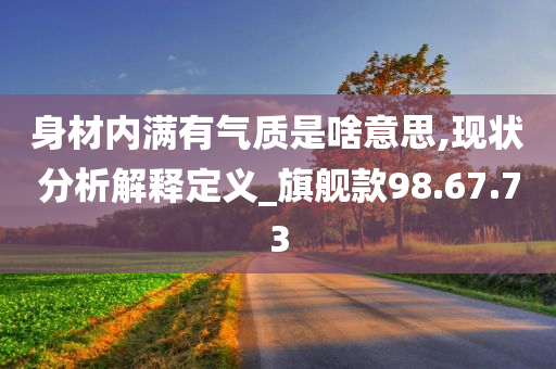 身材内满有气质是啥意思,现状分析解释定义_旗舰款98.67.73