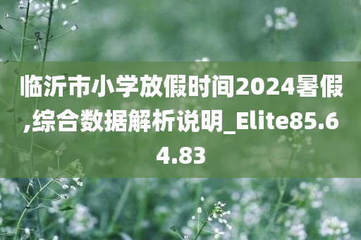 临沂市小学放假时间2024暑假,综合数据解析说明_Elite85.64.83