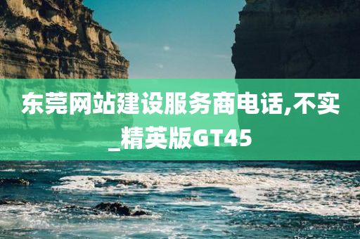 东莞网站建设服务商电话,不实_精英版GT45