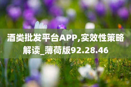 酒类批发平台APP,实效性策略解读_薄荷版92.28.46